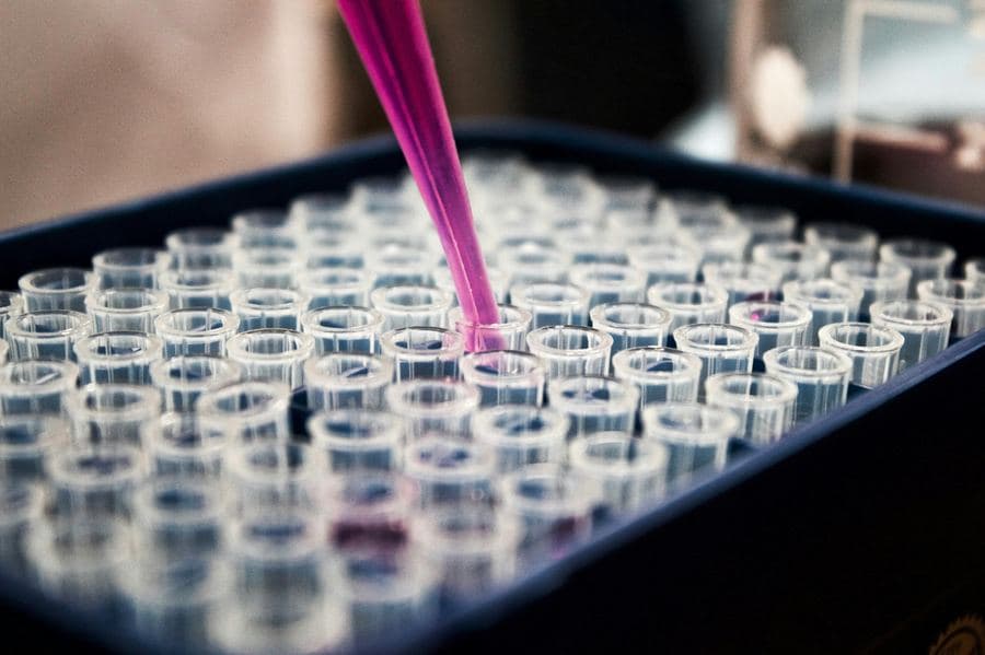 Pipette filling a vial with pink liquid in a lab